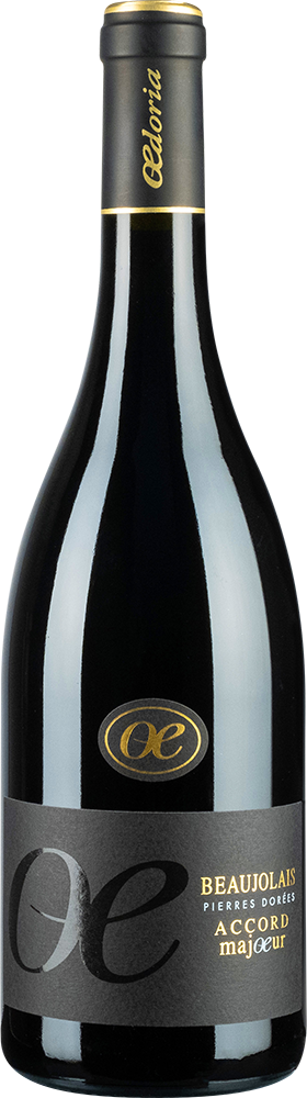 2024 Beaujolais rouge Pierres Dorées - Beaujolais AOP