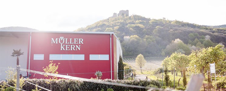 Müller-Kern