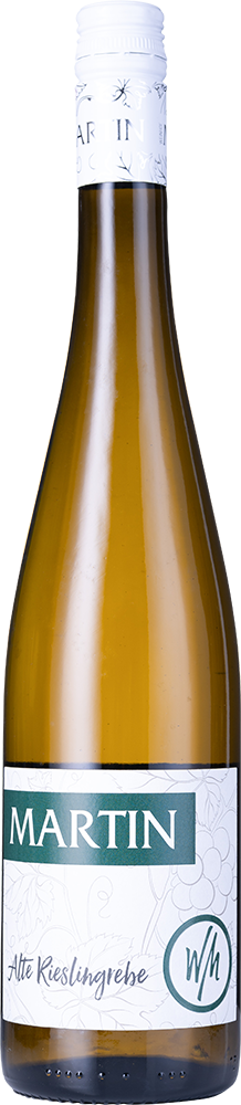 2025 Alte Rieslingreben