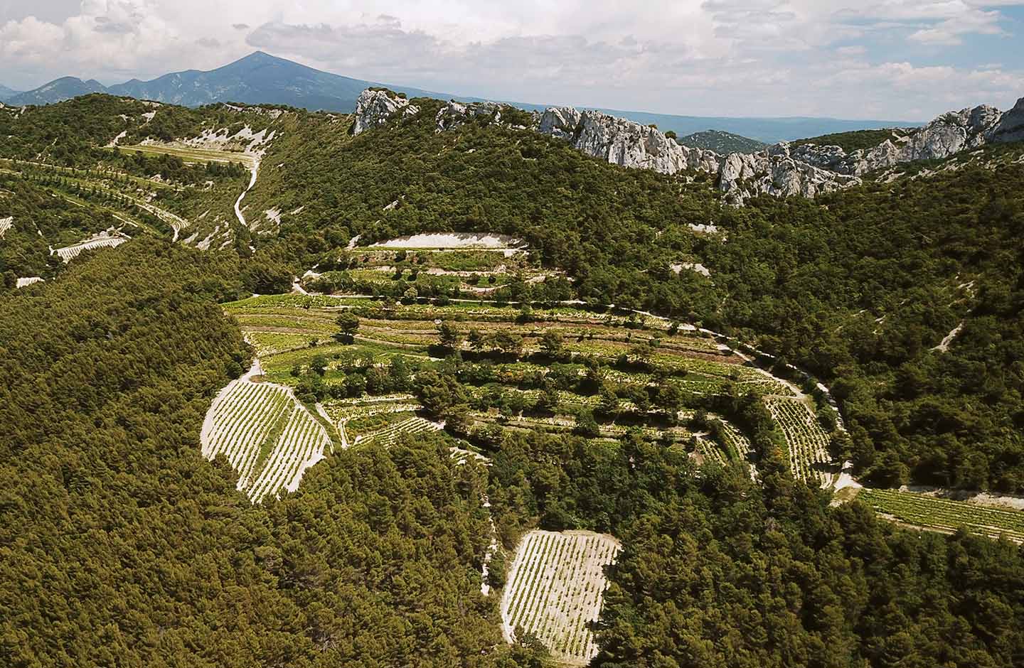 Domaine de Cabasse