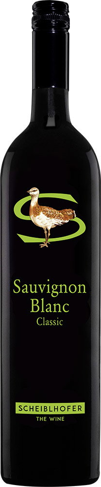 2025 Sauvignon Blanc