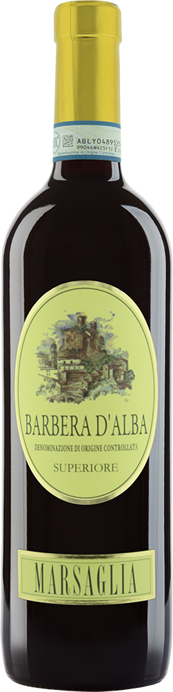 2020 Castellinaldo Barbera d'Alba Superiore DOC