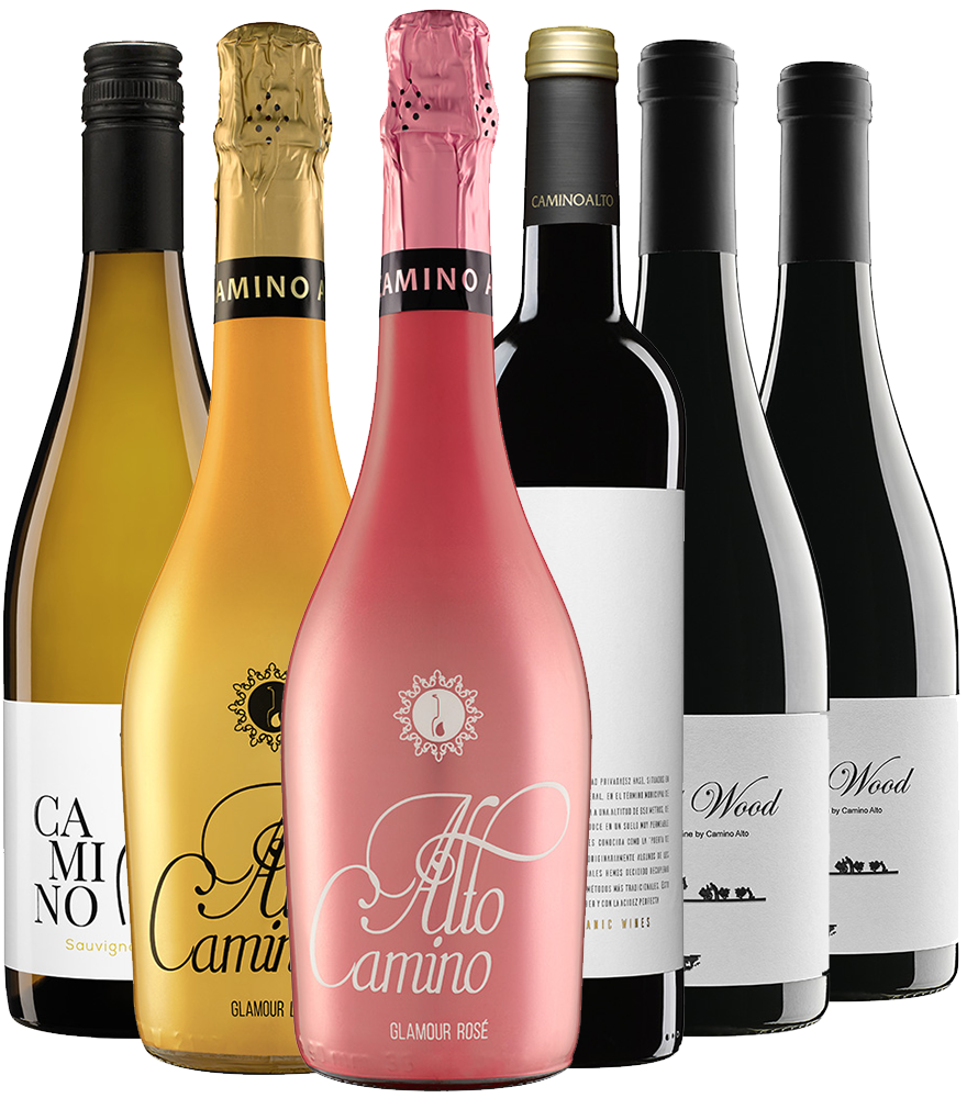 Bodega Camino Alto Probierpaket BIO