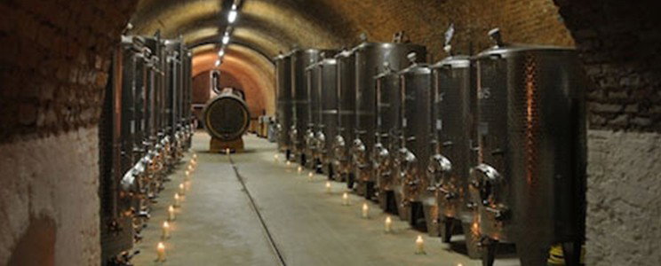 Stiftsweingut Herzogenburg