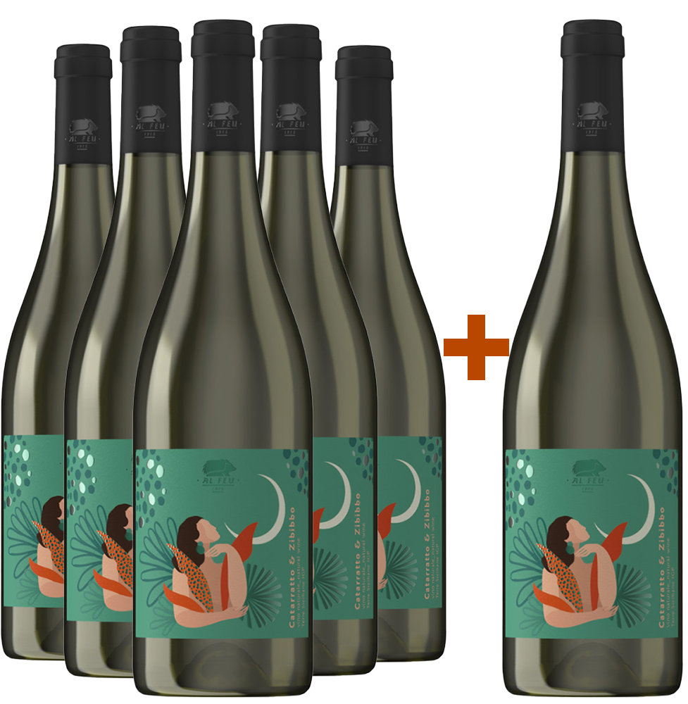 5+1 Paket Catarratto Zibibbo Terre Siciliane IGP