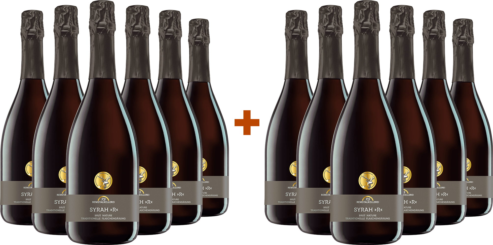6+6 Paket Syrah "R" Sekt