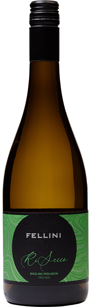 2024 RISECCO