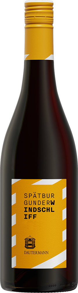 2023 Windschliff Spätburgunder