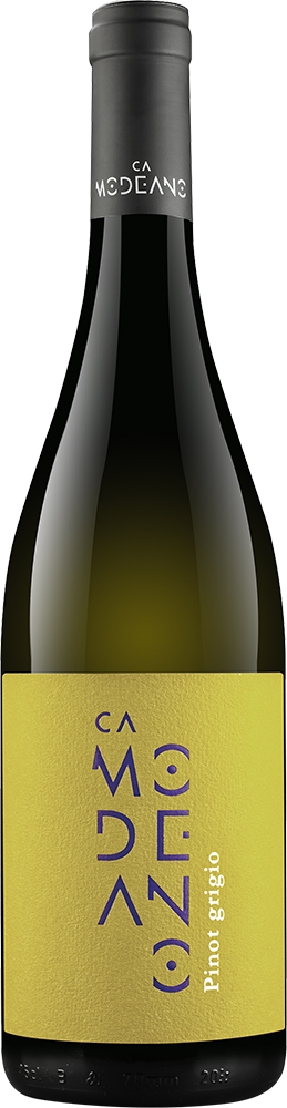 2025 Pinot Grigio Friuli DOC