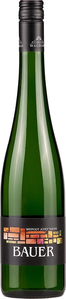 2024 Grüner Veltliner "Ried Spiegel "