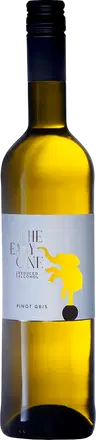 2022 Pinot gris "the easy one" 5%vol