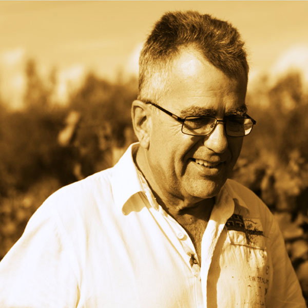 Salvador Vallés