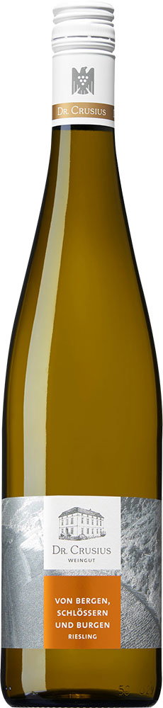 2024 VOM BERG Schlossböckelheim Riesling VDP.ORTSWEIN