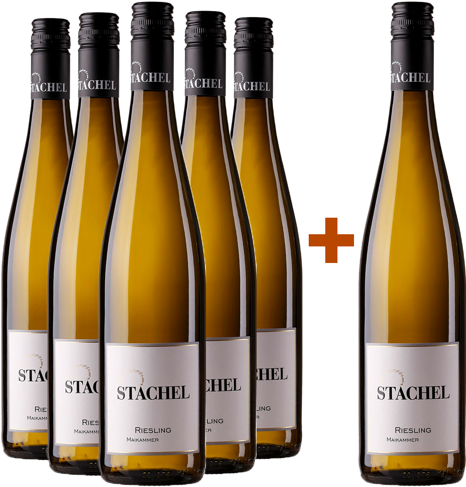 5+1 Paket Riesling Maikammer trocken