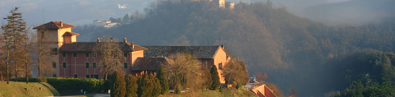 Italienische Weinregion mit Weinbergen und mediterraner Hügellandschaft