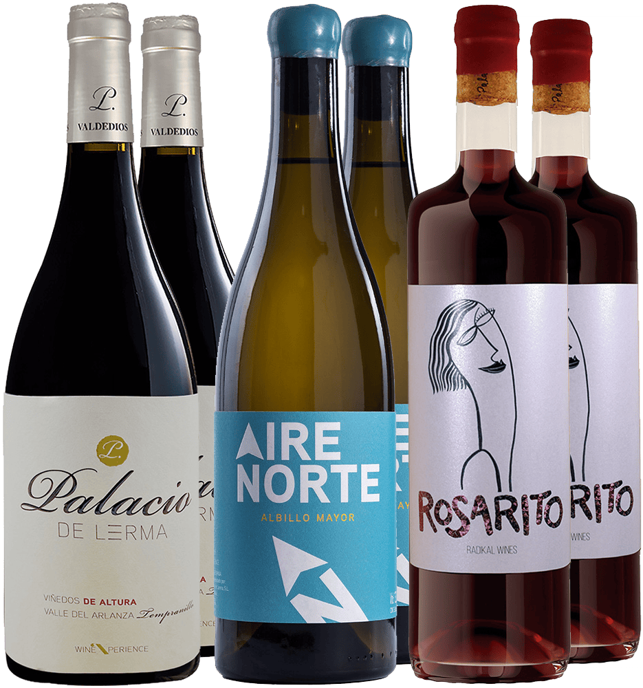 Bodegas Palacio de Lerma Probierpaket