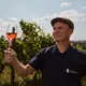 Weingut Hoflößnitz