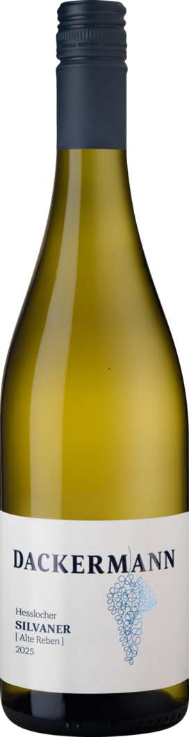 2025 Hesslocher Silvaner Alte Reben