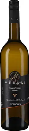 2022 Gundersheimer Höllenbrand Chardonnay
