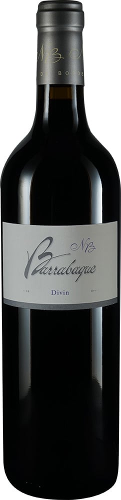 2019 Cuvée "Divin" Canon Fronsac AOP