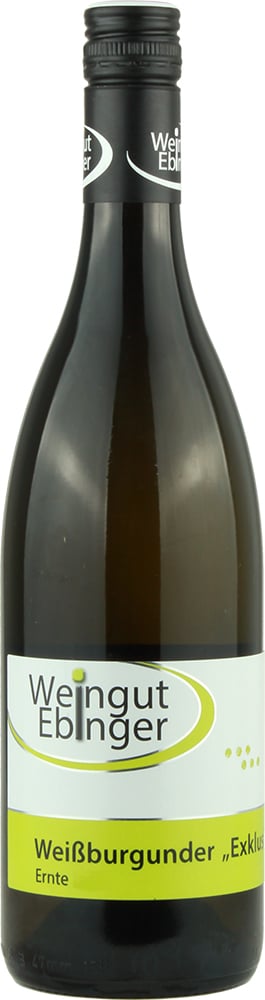 2019 Weißburgunder