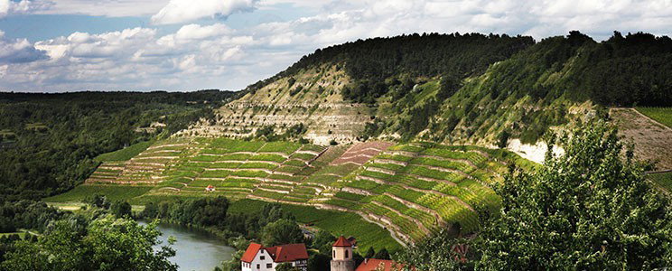 Fürst Löwenstein (Franken)