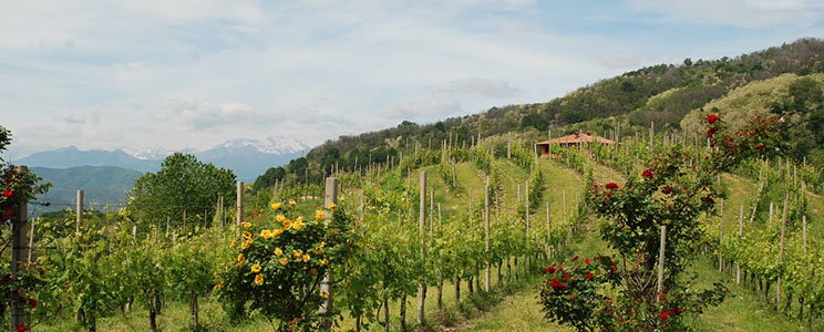Podere ai Valloni