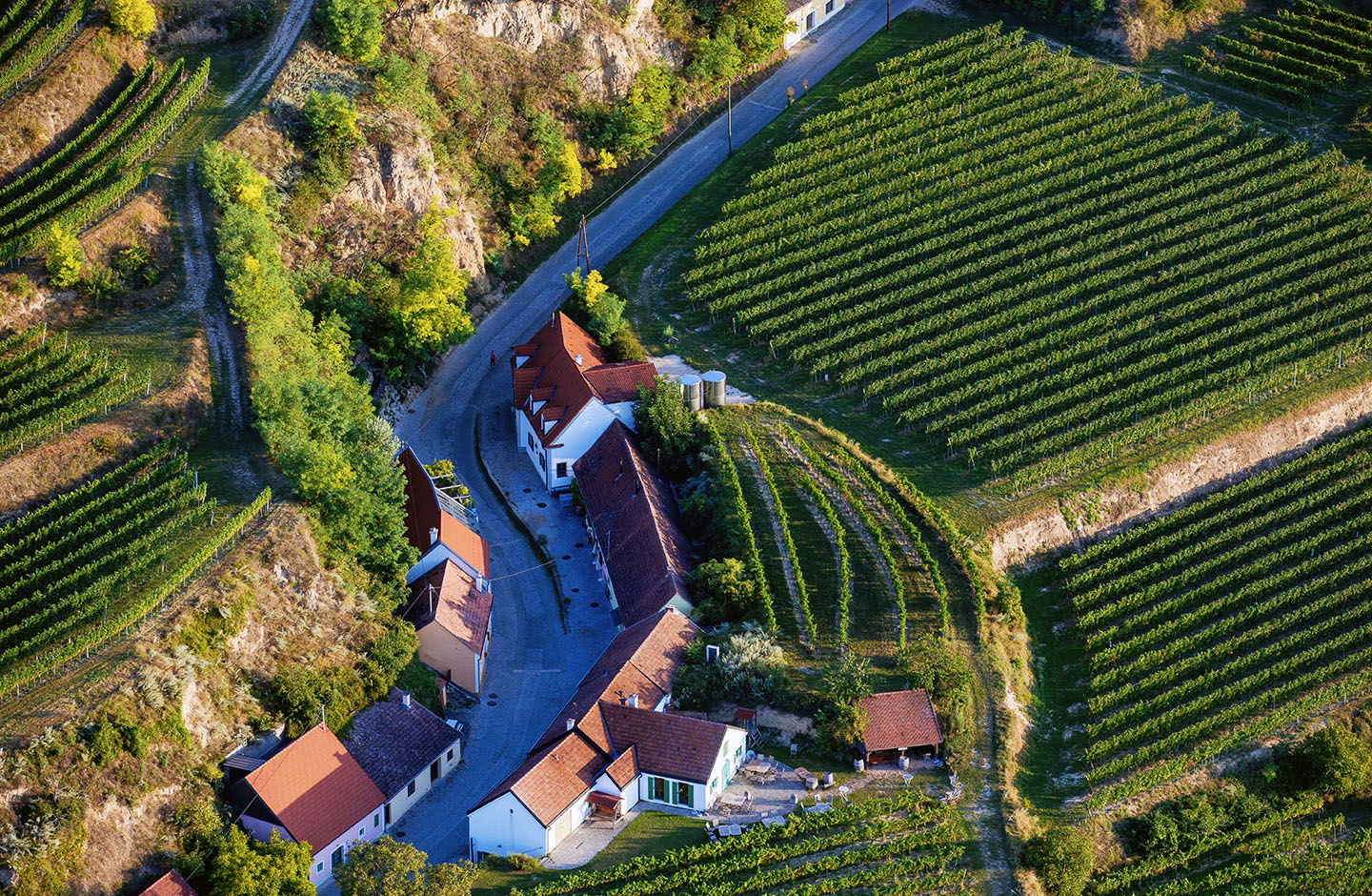 Weingut Mittelbach