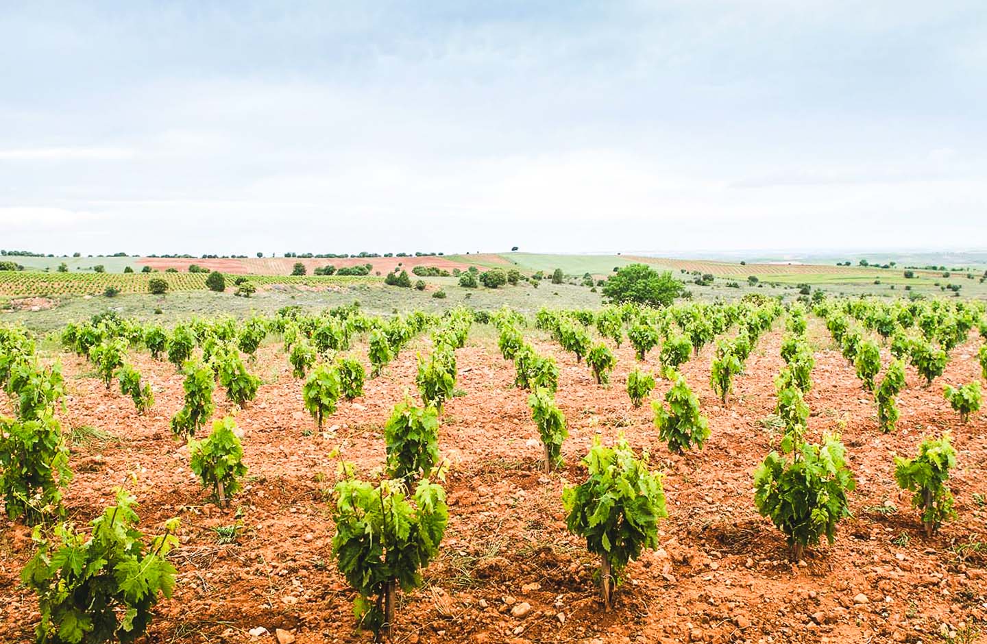 Altos del Enebro