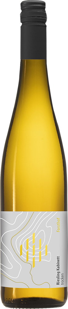 2025 Riesling Kabinett BIO
