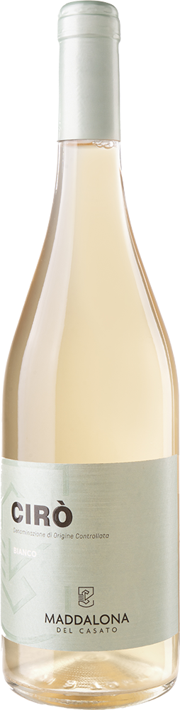 2024 Bianco Cirò DOC