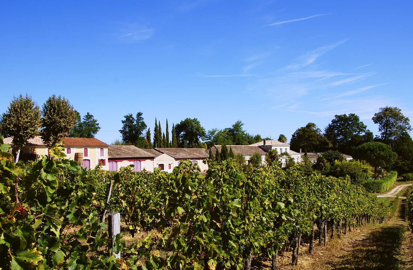 Vignes Secrètes