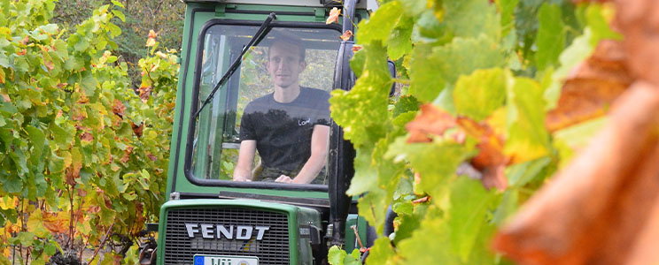 Winzerhof Lang