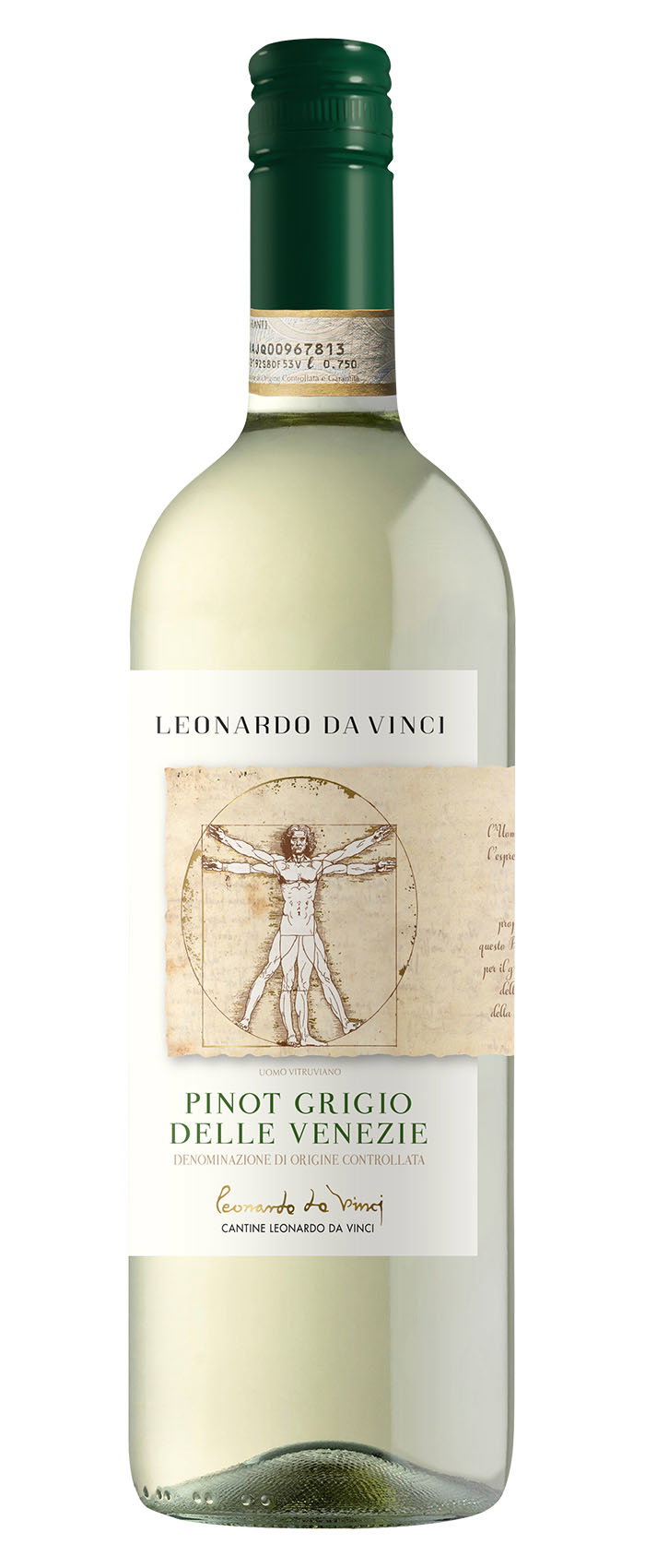 2023 Pinot Grigio delle Venezie DOC reflection