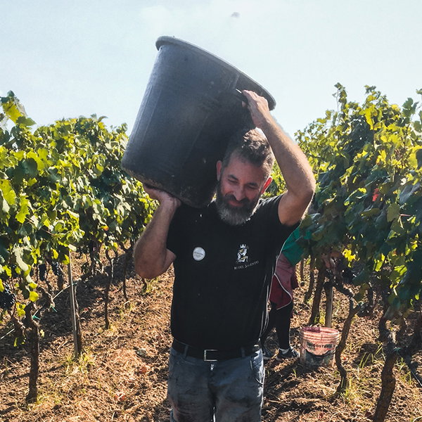 Tonino Manieri