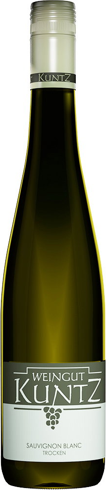 2025 Sauvignon Blanc -trocken-