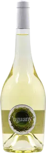 2025 Nguany Blanco Mallorca VT
