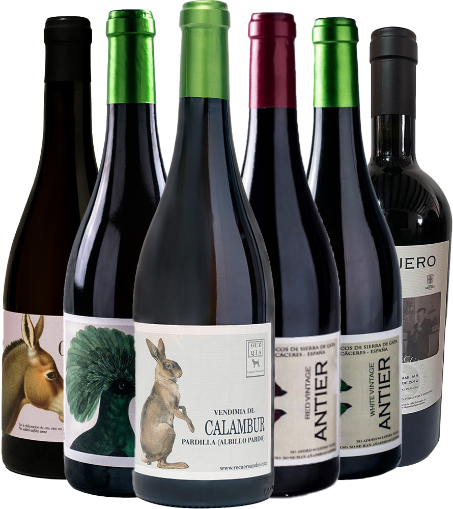 Kennenlernpaket Recuero & Co