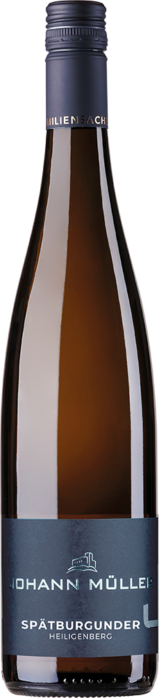 2023 Spätburgunder Rotwein - Am Heidengraben