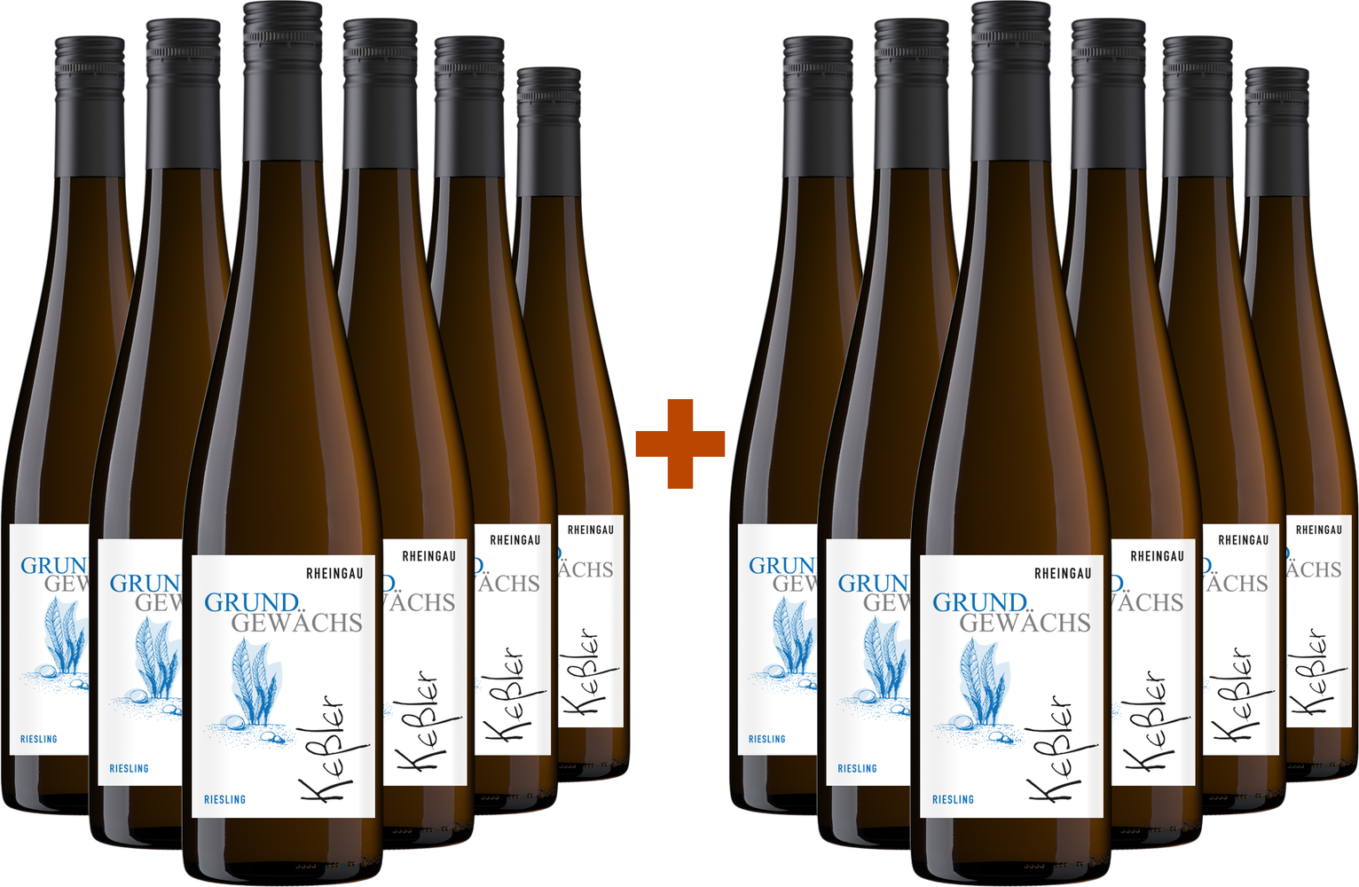 6+6 Paket Grundgewächs Hallgarten Riesling Kabinett trocken