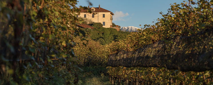 Proprietà Sperino