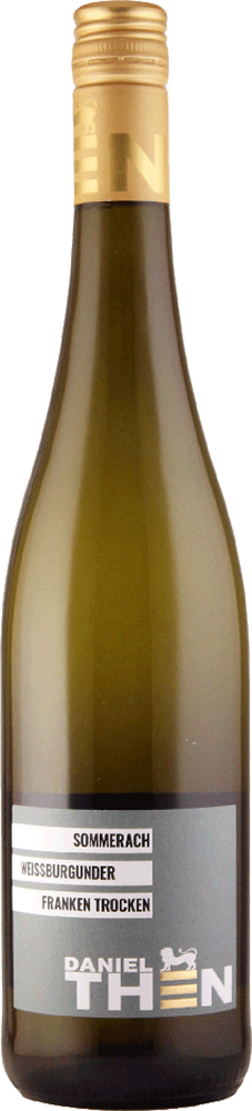 2025 Weißburgunder Sommeracher Ortswein BIO