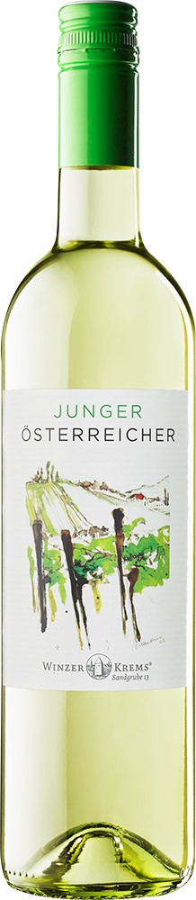2026 JUNGER ÖSTERREICHER reflection