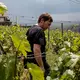 Weingut schiefer.pur