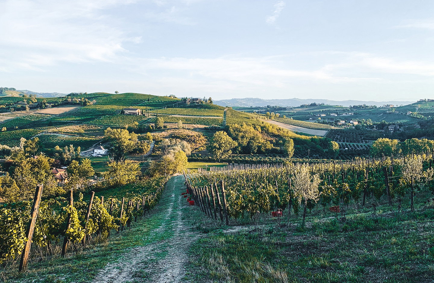 Viv Winery