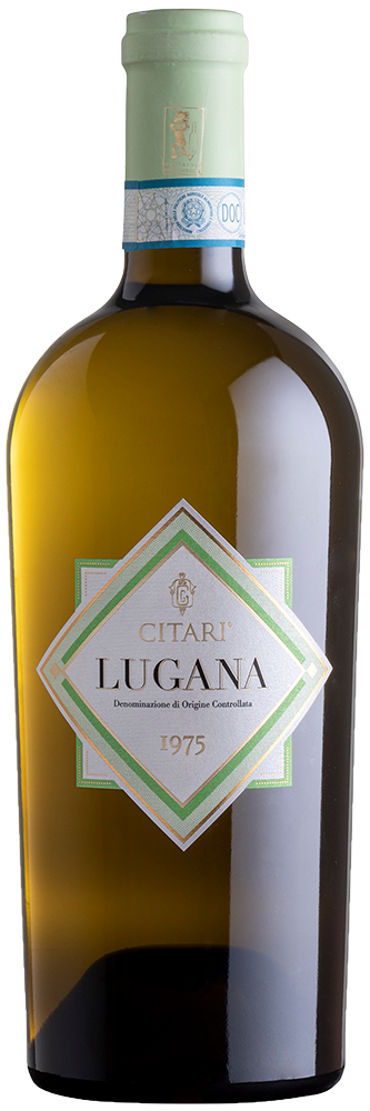2025 Lugana DOC