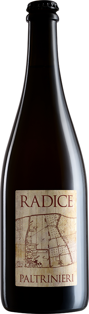 Radice Lambrusco di Sorbara DOC