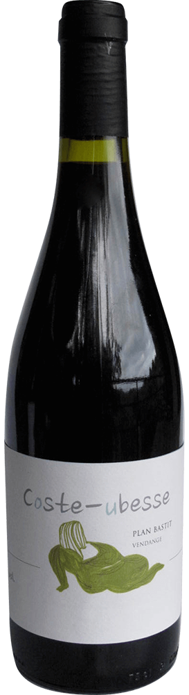 2016 Cuvée Plan Bastit Saint Guilhem le Désert IGP