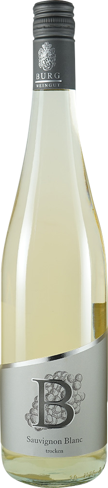 2023 Sauvignon blanc