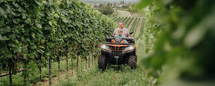 Allacher Vinum Pannonia